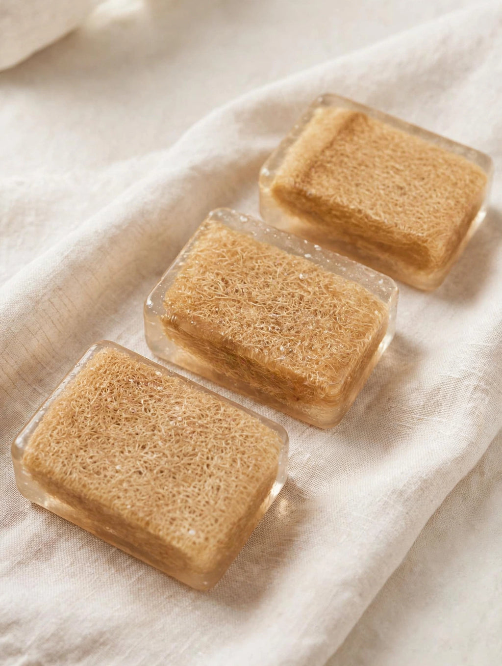 Luffa Scrub bar